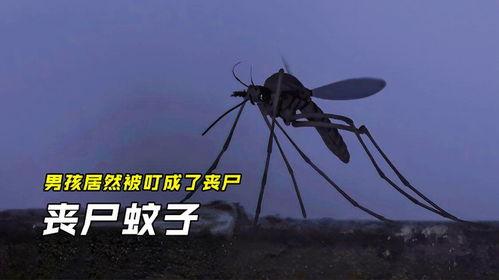 蚊子僵尸在线视频,揭秘神秘病毒变异之谜