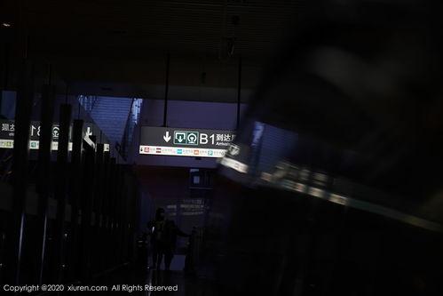 日中韩在线视频免费观看,日中韩热门在线视频免费畅享指南