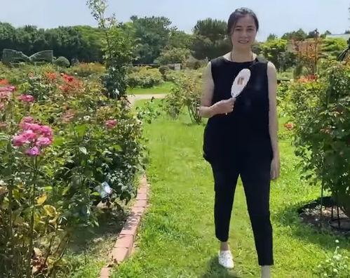 人妻在线视频个人,揭秘现代婚姻中的私密世界