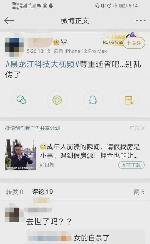 在线视频黑龙江科技视频,探索前沿，创新驱动发展