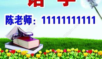 教育指导动画在线视频,教育指导的精彩呈现