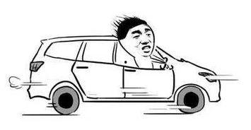 买车叫声在线视频观看,在线视频见证买车叫声瞬间