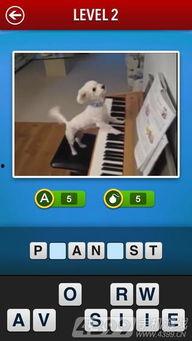 在线视频猜人游戏