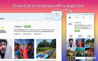 境外社交软件在线视频,潮流趋势与生活百态