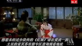 红娘刺激在线视频直播,浪漫邂逅，线上牵线搭桥