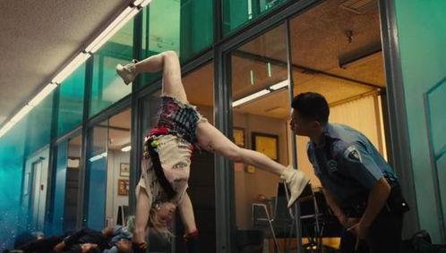 猛禽小队在线视频,在线视频揭秘神秘任务与英勇对决