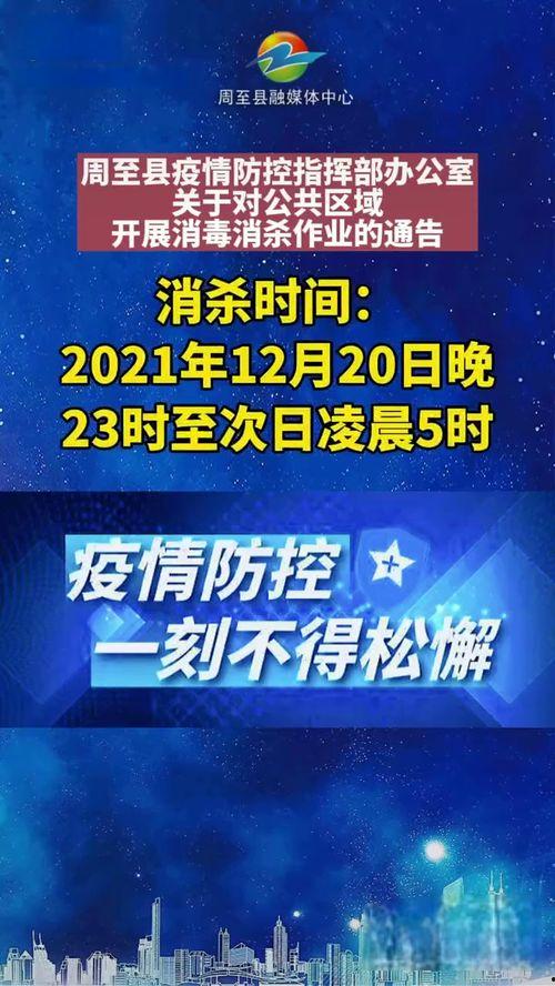 周至新闻在线视频,聚焦本土热点，呈现精彩瞬间