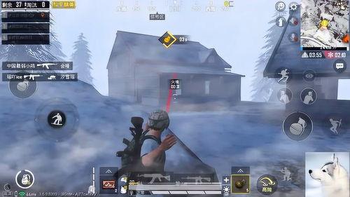 免费在线视频天天鲁