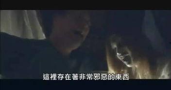 撸到死在线视频,揭秘在线视频的狂热魅力与潜在风险