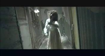 撸到死在线视频,揭秘在线视频的狂热魅力与潜在风险