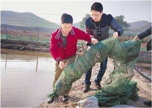 泥鳅门 在线视频,揭秘神秘水下世界的奇幻之旅