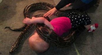 人与蛇在线视频,揭秘人与蛇的神秘互动