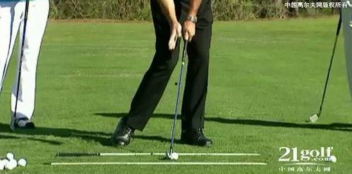 铁杆肛交在线视频