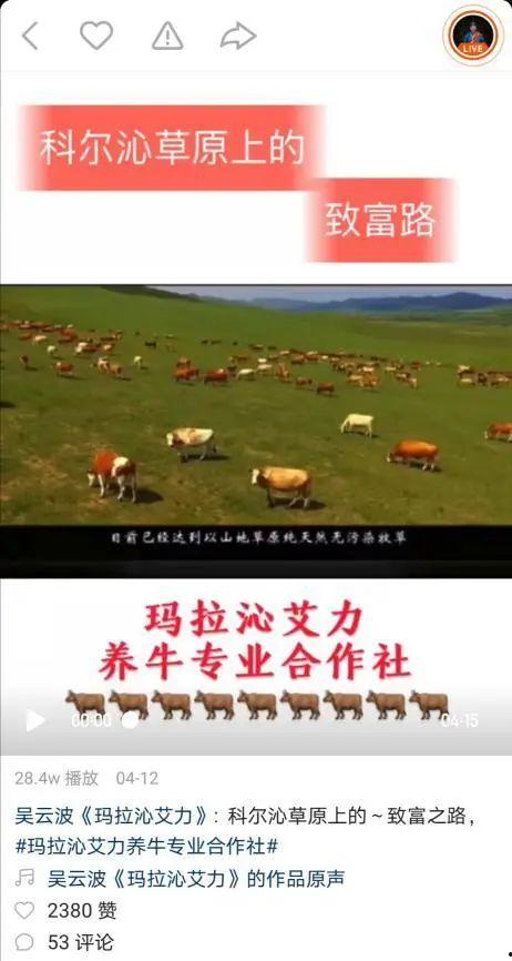 乌龙寺在线视频,揭秘古刹在线视频中的奇幻之旅