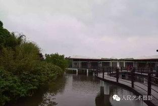 河南信阳风景在线视频,风景在线视频带你领略豫南美景