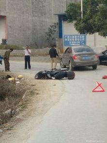 弯道农场在线视频观看,揭秘农业科技与生态循环的奇迹之旅