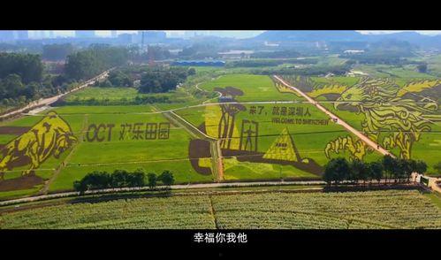 弯道农场在线视频观看,揭秘农业科技与生态循环的奇迹之旅